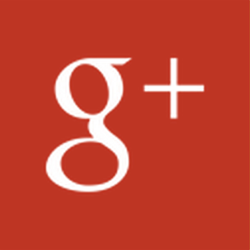 Google+